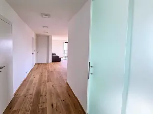 Pronájem bytu 3+kk, Praha, U Dívčích hradů, 123 m2