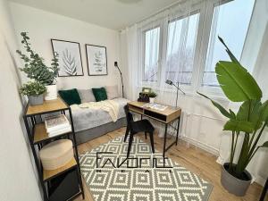 Prodej bytu 3+kk, Ostrava, Dr. Martínka, 54 m2