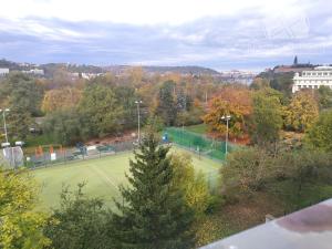 Pronájem bytu 1+kk, Praha - Podolí, Podolská, 36 m2