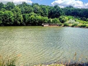 Prodej louky, Velký Ořechov, 21368 m2