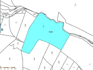 Prodej lesa, Přeckov, 87000 m2