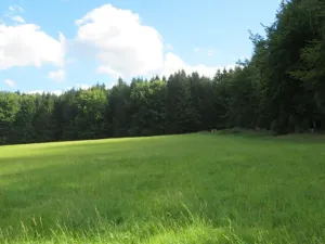 Dražba louky, Pec, 4175 m2