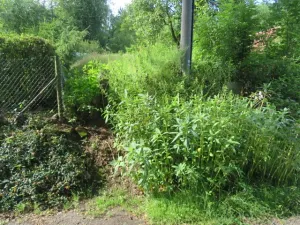 Dražba zahrady, Ústí nad Orlicí, 1390 m2