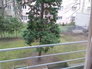 Prodej bytu 2+1, Praha - Nusle, Nad studánkou, 64 m2