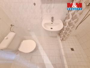 Pronájem bytu 1+1, Předměřice nad Labem, Hradecká, 28 m2