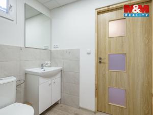 Prodej chaty, Karlovy Vary - Stará Role, 47 m2