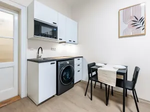 Prodej bytu 1+kk, Praha - Vyšehrad, Neklanova, 23 m2