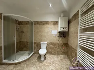 Pronájem bytu 1+kk, Vrchlabí, Krkonošská, 70 m2