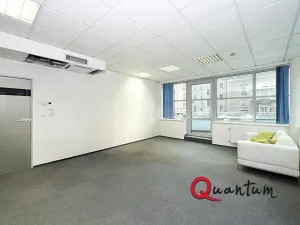 Pronájem kanceláře, Praha - Vinohrady, Šafaříkova, 32 m2