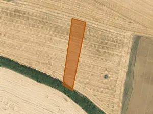 Prodej pole, Droužkovice, 89421 m2