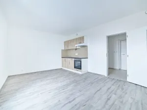 Pronájem bytu 1+kk, Plzeň, Železniční, 50 m2