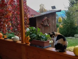 Prodej pozemku, Lukavec u Hořic, 1490 m2