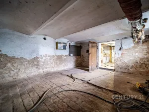 Prodej rodinného domu, České Budějovice - České Budějovice 5, Reinerova, 240 m2