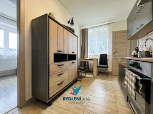 Prodej bytu 1+1, Tisá, 43 m2