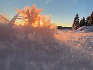 Prodej rodinného domu, Kvilda, 408 m2