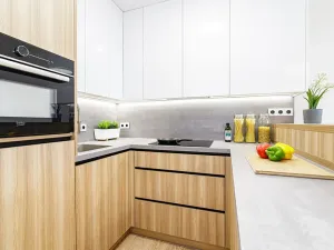 Pronájem bytu 1+kk, Ostrava, Gen. Janouška, 27 m2