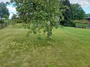 Prodej vícegeneračního domu, Ostrava, 250 m2