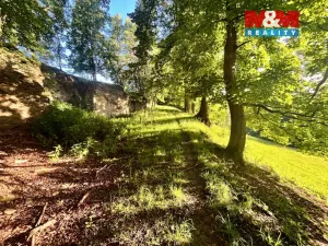 Prodej louky, Teplice nad Metují - Horní Teplice, 5449 m2