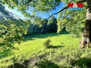 Prodej louky, Teplice nad Metují - Horní Teplice, 5449 m2