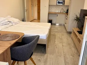 Prodej bytu 1+kk, Rožnov pod Radhoštěm, Meziříčská, 27 m2