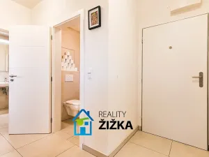 Prodej bytu 2+kk, Brno, Bělohorská, 60 m2