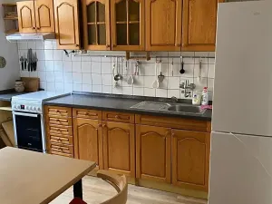 Pronájem bytu 2+1, České Budějovice, Puklicova, 53 m2