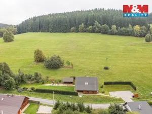 Prodej rodinného domu, Červená Voda - Dolní Orlice, 190 m2