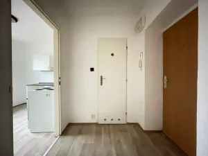 Pronájem bytu 1+1, Litvínov, Podkrušnohorská, 30 m2