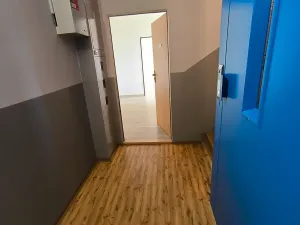 Pronájem bytu 2+1, Ústí nad Labem, Ladova, 62 m2