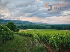 Prodej sadu/vinice, Klentnice, 4733 m2