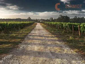 Prodej sadu/vinice, Klentnice, 4733 m2