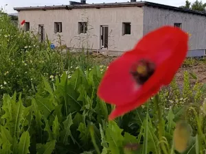 Prodej rodinného domu, Havířov, Farská, 63 m2