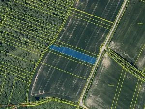 Prodej pole, Šarovy, 9623 m2