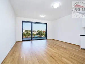 Pronájem bytu 2+kk, Praha - Holešovice, Jankovcova, 65 m2