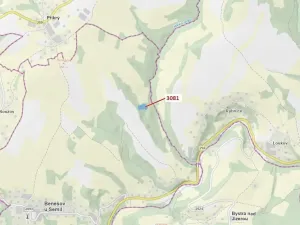 Dražba lesa, Benešov u Semil, 6213 m2