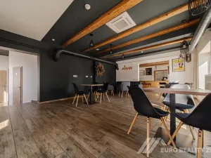 Pronájem restaurace, Otrokovice, Dr. E. Beneše, 237 m2