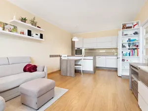 Prodej bytu 2+kk, Plzeň, Sladová, 54 m2