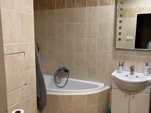 Pronájem bytu 2+1, Chomutov, Meisnerova, 61 m2