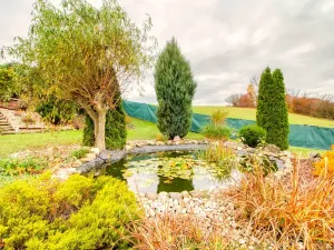 Prodej rodinného domu, Nepřevázka, 1091 m2