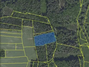 Prodej lesa, Chářovice, 4568 m2