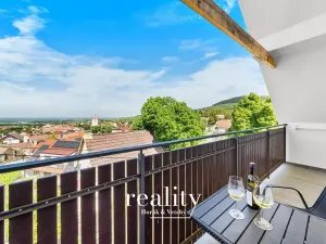 Prodej vícegeneračního domu, Perná, 205 m2