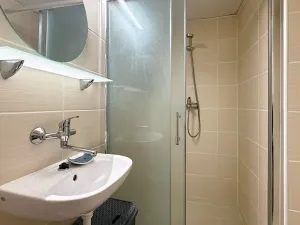 Pronájem bytu 1+kk, Brno, Teslova, 20 m2