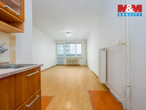 Prodej bytu 2+kk, Hradec Králové - Pražské Předměstí, Jungmannova, 50 m2