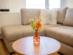 Prodej bytu 1+kk, Jablůnka, 41 m2