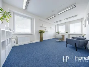 Pronájem kanceláře, Olomouc, Karolíny Světlé, 50 m2