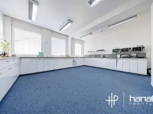 Pronájem kanceláře, Olomouc, Karolíny Světlé, 200 m2