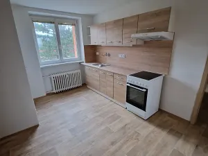 Pronájem bytu 2+1, Dubí, Ruská, 58 m2