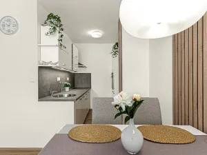 Pronájem bytu 2+kk, Praha - Chodov, Hněvkovského, 42 m2