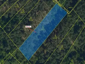 Dražba lesa, Vracov, 2231 m2