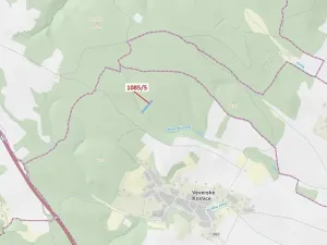 Dražba lesa, Veverské Knínice, 3926 m2